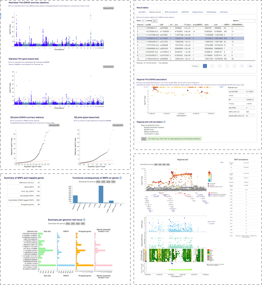 SNP2GENE example pages